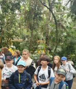 Uczniowie stoją w grupie w palmiarni. Dzieci patrzą w stronę obiektywu z lekko podniesioną głowami. Nad nimi widoczna jest bujna roślinność.