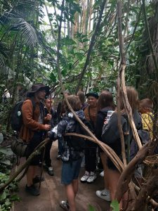 Uczniowie stoją w grupie na przeciwko przewodnika. Wokół nich rosną palmy i widoczne są pnącza.