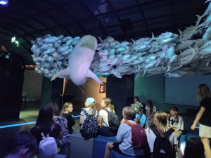 Uczniowie siedzą na niebiesko szarych pufach i patrzą w górę. Nad nimi zawieszona jest ławica ryb z której wypływa duży rekin.