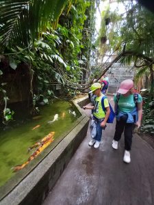 Dwoje uczniów stoi w palmiarni przy długim basenie, w którym pływają duże ryby.