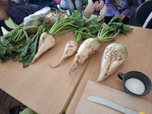 Zdjęcie ułożonych obok siebie na stole czterech buraków cukrowych. Obok nich stoi filiżanka z cukrem.