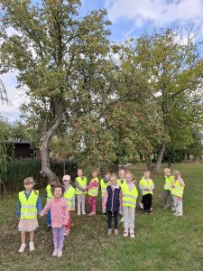 Uczniowie oddziału przedszkolnego pozują do zdjęcia stojąc w grupie pod jabłonią. Część dzieci trzyma się za ręce w parach. Większość ma na sobie odblaskowe kamizelki.