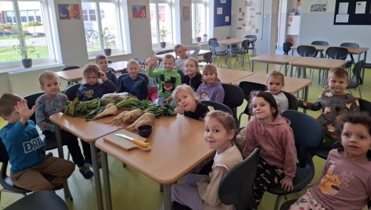 Uczniowie oddziału przedszkolnego siedzą na krzesłach na szkolnej stołówce. Dzieci zgromadzone są wokół stołu na którym leżą obok siebie buraki cukrowe.