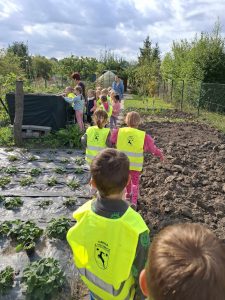 Uczniowie oddziału przedszkolnego idą gęsiego pomiędzy grządkami. Zdjęcie wykonane od tyłu. Dzieci mają na sobie odblaskowe kamizelki, na których z tyłu widnieje logo i podpis "GMINA ŁYSOMICE".