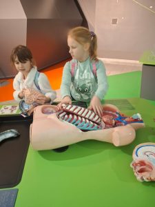 Dwie uczennice stoją przy manekinie wykonanym z plastiku, z którego można wyciągać narządy wewnętrzna. Jedna z uczennic trzyma w dłoniach mózg manekina, na który spogląda bokiem. Przygląda mu się również jej koleżanka trzymająca dłonie na żebrach manekina.