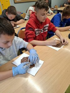 Dwóch uczniów siedzi przy stole. Jeden z chłopców ma na dłoniach gumowe, niebieskie rękawiczki. Chłopcy pochylają się nad leżącymi przed nimi podkładkami z gliną i żłobią w niej drewnianymi patyczkami. W tle widać innych uczniów siedzących przy stołach i zajętych pracą.