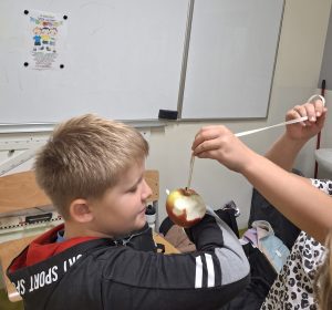 Chłopiec w czarnej bluzie z czerwonym kapturem gryzie jabłko zawieszone na sznurku, które trzyma inna osoba. W tle widać tablicę suchościeralną i ławkę szkolną.