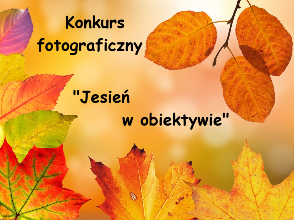 Grafika promująca konkurs fotograficzny pt. ‘Jesień w obiektywie’. Na tle w ciepłych, jesiennych barwach widać kolorowe liście – żółte, pomarańczowe, czerwone i zielone. Na środku umieszczony jest napis: ‘Konkurs fotograficzny – Jesień w obiektywie’.