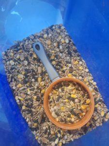 Mieszanka ziaren i nasion dla ptaków w pojemniku, przygotowana do wykonania karmników.