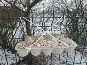 Ekologiczny karmnik dla ptaków wykonany z wytłaczanki po jajkach, wypełniony mieszanką ziaren ze smalcem i zawieszony na ogrodzeniu na zewnątrz.