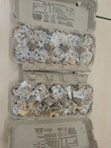 Gotowe karmniki z ziaren i smalcu umieszczone w wytłaczankach po jajkach.