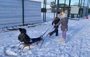 Dwoje dzieci biegnie po śniegu, ciągnąc sanki z innym dzieckiem, które próbuje wstać po przewróceniu sanek.