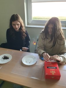 Uczennice klasy 8 przygotowują doświadczenie chemiczne, obserwowane przez uczniów klas 0–3. Między dziewczynkami unosi się paląca się bibułka.