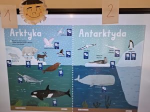 Ilustracja edukacyjna porówniająca Arktykę i Antarktydę z podpisami zwierząt charakterystycznych dla obu obszarów.