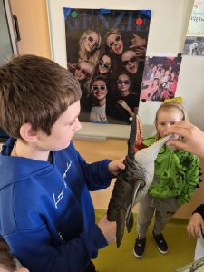 Uczeń klas 1–3 trzyma zabawkowy model dinozaura i prezentuje swoje hobby związane z zainteresowaniem zwierzętami prehistorycznymi, w obecności innych uczniów.