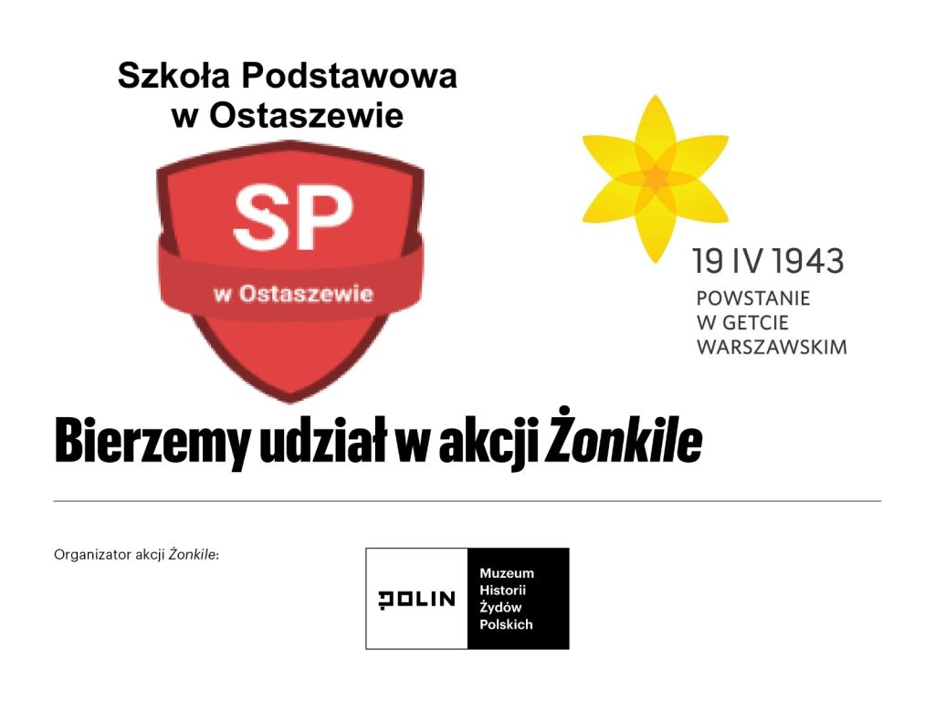 Plakat informacyjny Szkoły Podstawowej w Ostaszewie o udziale w akcji „Żonkile”. Na grafice widoczne jest logo szkoły, żółty żonkil oraz napis „19 IV 1943 Powstanie w getcie warszawskim”. Na dole informacja o organizatorze – Muzeum Historii Żydów Polskich POLIN.