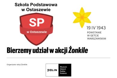 Plakat informacyjny Szkoły Podstawowej w Ostaszewie o udziale w akcji „Żonkile”. Na grafice widoczne jest logo szkoły, żółty żonkil oraz napis „19 IV 1943 Powstanie w getcie warszawskim”. Na dole informacja o organizatorze – Muzeum Historii Żydów Polskich POLIN.