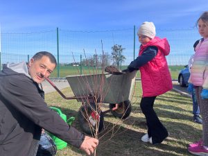 Dorosły mężczyzna przytrzymuje drzewko, a dziewczynka wsypuje ziemię z taczki do dołka podczas sadzenia.