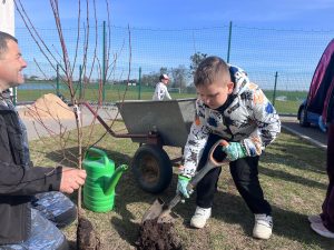 Chłopiec używa łopaty do wsypywania ziemi przy sadzonym drzewku; obok dorosły wspiera i instruuje.