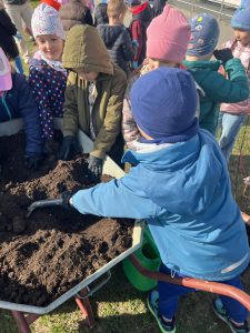 Dzieci stoją wokół taczki i wspólnie nabierają ziemię do sadzenia roślin podczas szkolnej akcji ekologicznej.