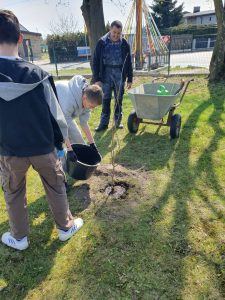 Uczeń wylewa wodę z wiadra do dołka z drzewkiem, a dorosły obserwuje pracę; obok stoi taczka z narzędziami.