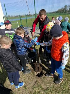 Grupa dzieci sadzi drzewko pod nadzorem dorosłego; jedna osoba trzyma sadzonkę, inne przygotowują ziemię.