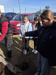 Dziewczynka trzyma młode drzewko przygotowane do posadzenia, obok stoją inni uczniowie; w tle zaparkowane samochody.