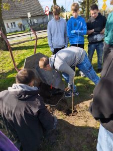 Uczniowie wsypują ziemię z taczki do dołka podczas sadzenia drzewka; część grupy obserwuje pracę.