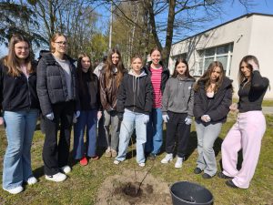 Grupa uczennic stoi wokół świeżo posadzonego drzewka na terenie szkoły i pozuje do zdjęcia.