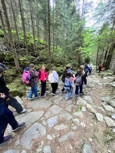Uczniowie schodzą kamienistym szlakiem przez las podczas wycieczki w Skalnym Mieście. Wokół widoczne są wysokie drzewa i głazy.