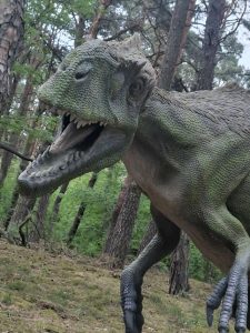 Zbliżenie na model drapieżnego dinozaura z otwartą paszczą prezentowany na leśnej ścieżce edukacyjnej w JuraParku.