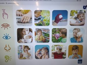Na ekranie wyświetlono ilustracje przedstawiające pięć zmysłów człowieka i przykłady ich wykorzystania.