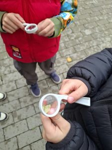 Dzieci oglądające przez lupy znalezione podczas jesiennych obserwacji fragmenty roślin.