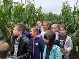 Grupa uczniów zgromadzona na wąskiej ścieżce pomiędzy wysokimi rzędami kukurydzy podczas pokonywania labiryntu.