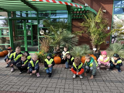 Przedszkolaki pozują do wspólnego zdjęcia przed wejściem do centrum ogrodniczego, wśród palm, roślin ozdobnych i dużych pomarańczowych dyń.