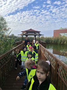 Dzieci z oddziału przedszkolnego spacerują drewnianym pomostem prowadzącym do altany nad stawem, w otoczeniu wysokich trzcin.