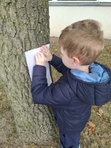 Chłopiec w granatowej kurtce wykonuje odbitkę kory drzewa, pocierając kredką kartkę przyłożoną do pnia.