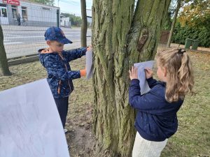 Dwoje dzieci z oddziału przedszkolnego przykłada kartki papieru do pnia drzewa i wykonuje kredkami odbitki jego chropowatej kory.