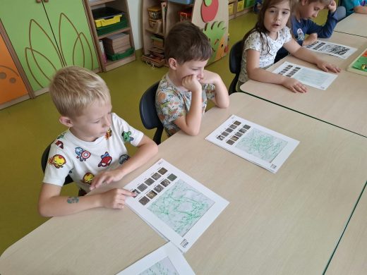 Dzieci z oddziału przedszkolnego siedzą przy stolikach i analizują karty pracy z odciskami kory drzew oraz fotografiami przedstawiającymi różne gatunki.
